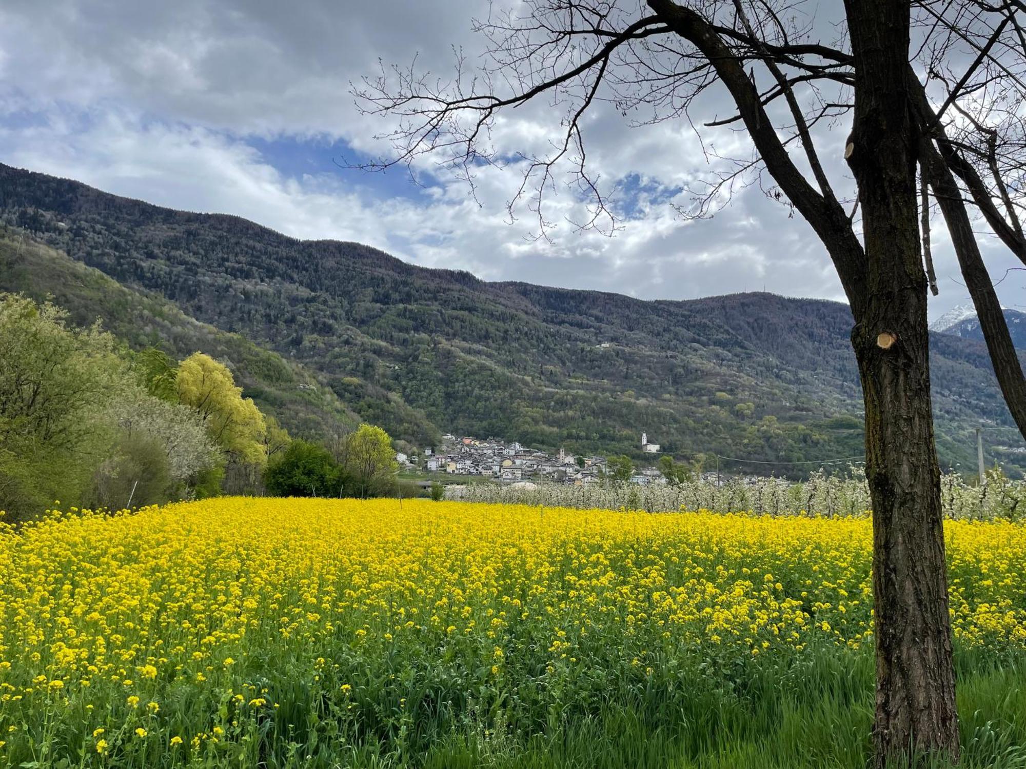 Ca Marasciol A 5 Minuti Dal Trenino Rosso Del Bernina Express Hotell Villa di Tirano Eksteriør bilde